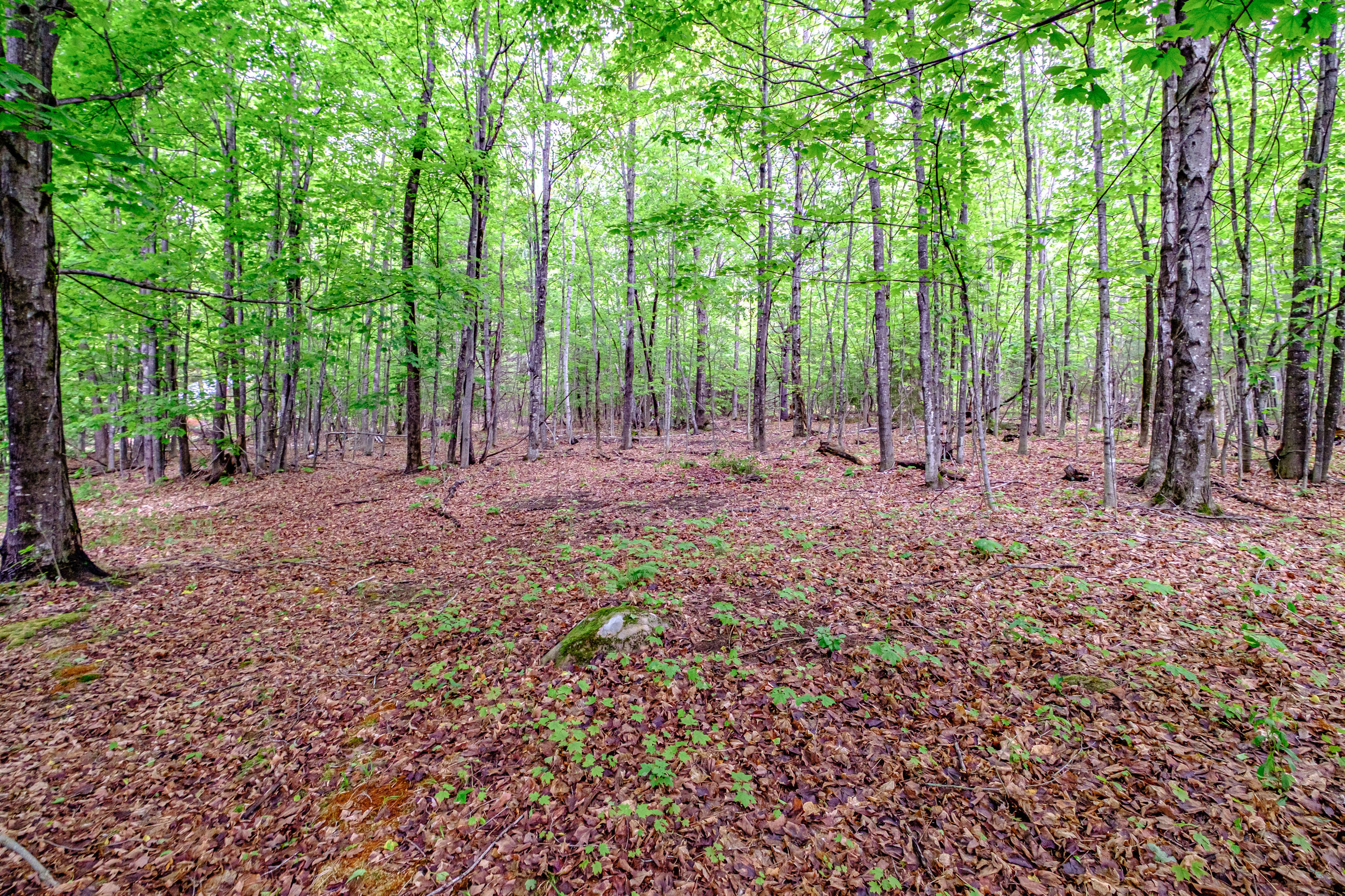 217 Chamberlain Road Brownfield ME 04010