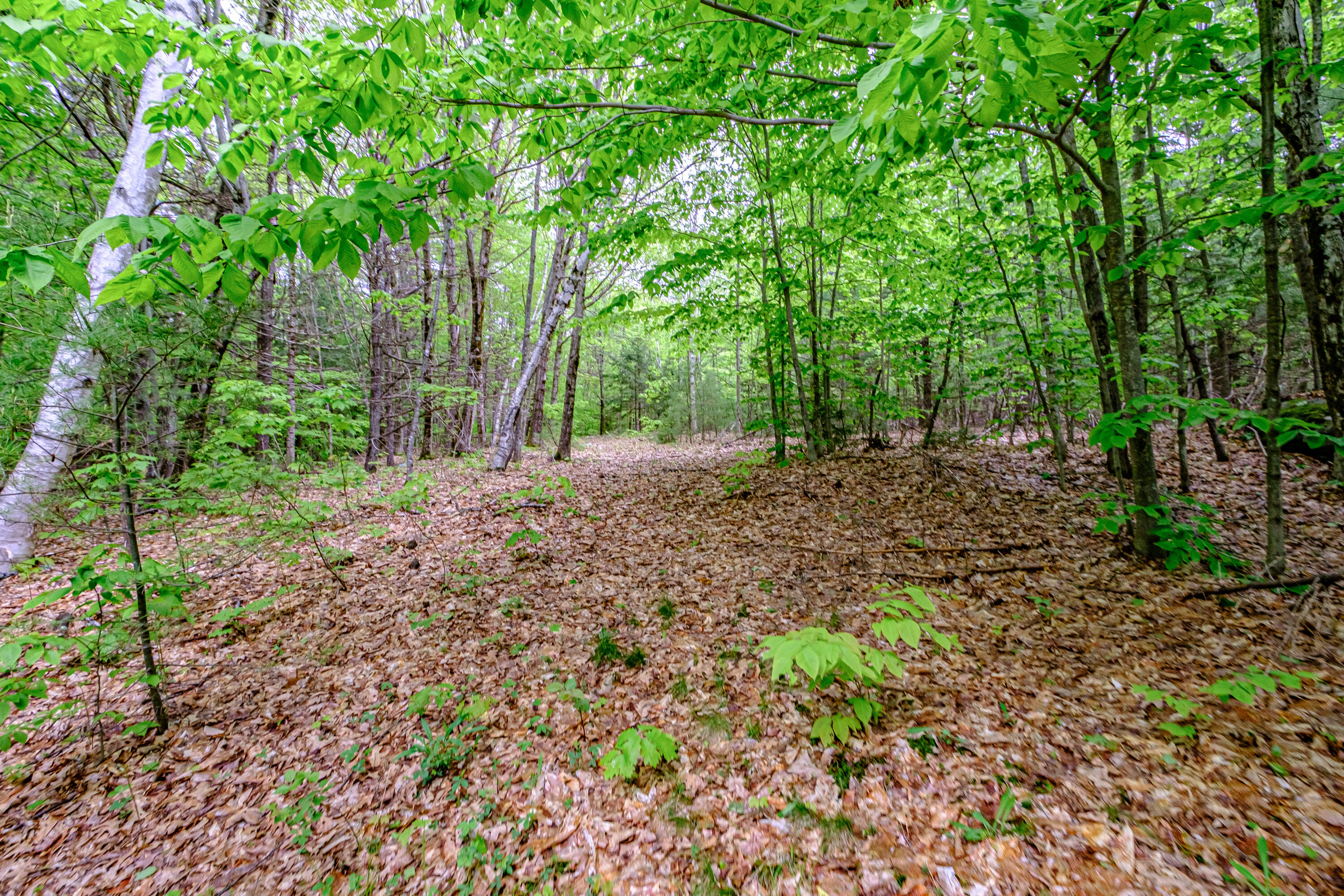 217 Chamberlain Road Brownfield ME 04010