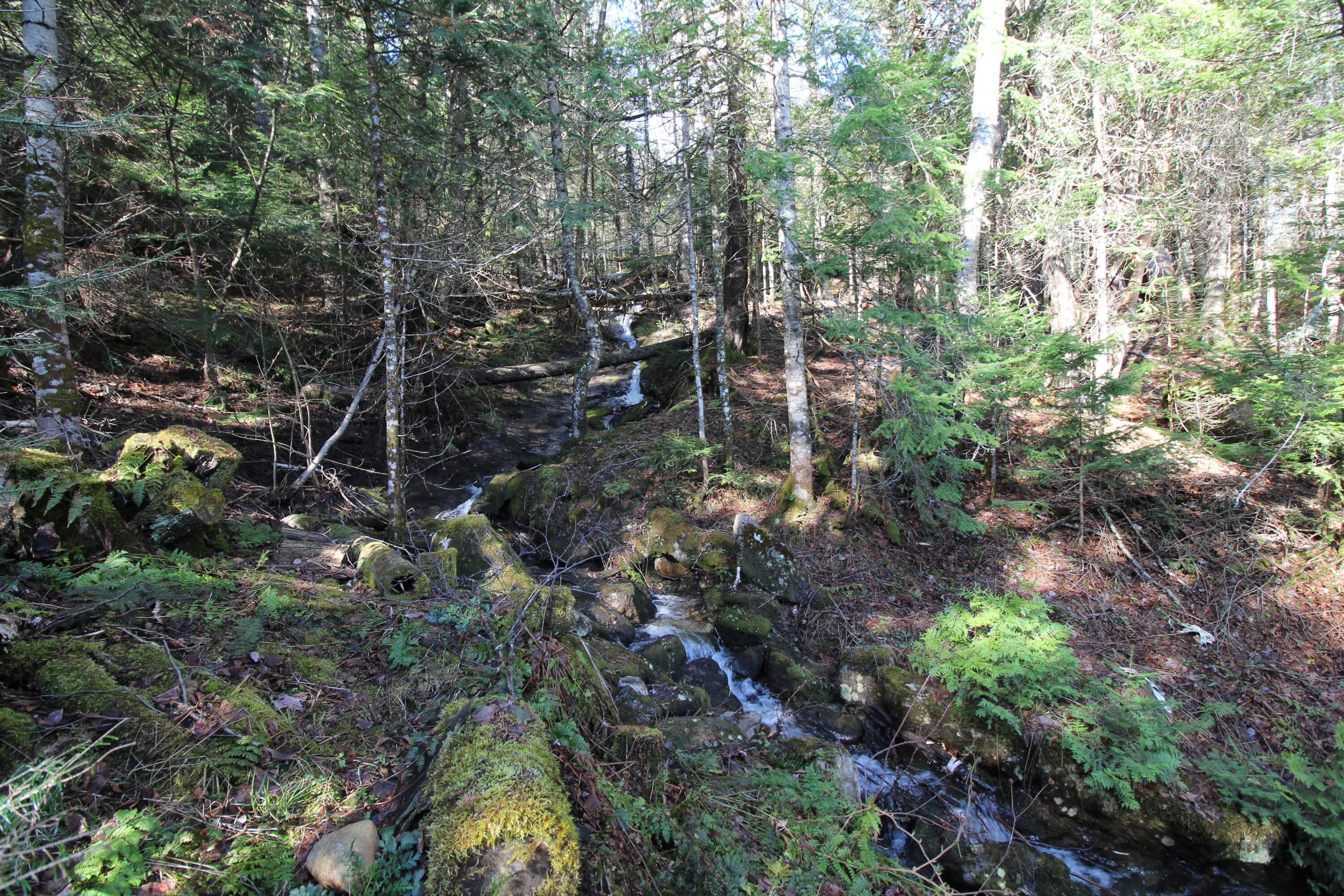 120 South Shore Drive Rangeley Plt ME 04970