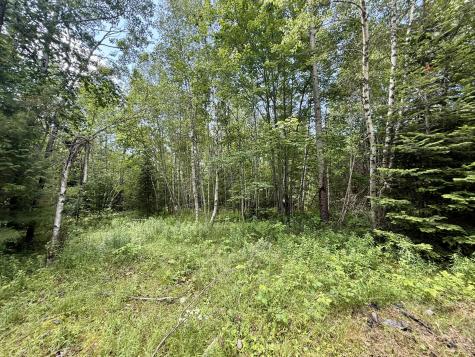 481 Airline Road Baileyville ME 04694