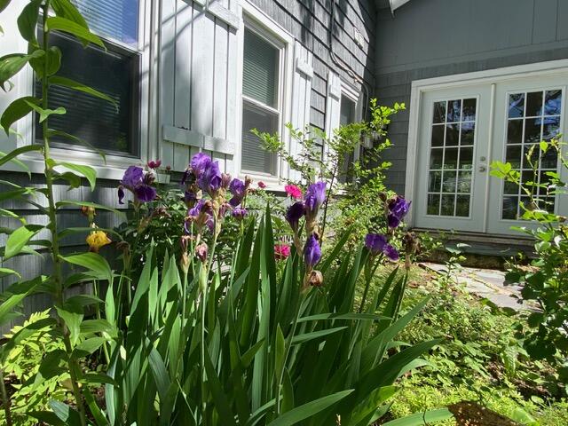 46 Spurwink Avenue Cape Elizabeth ME 04107