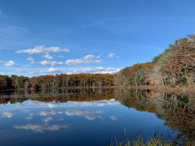 38 Pine Mountain Road York ME 03909