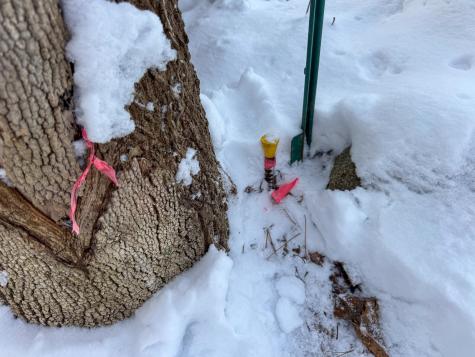 68 Enfield Road Lincoln ME 04457