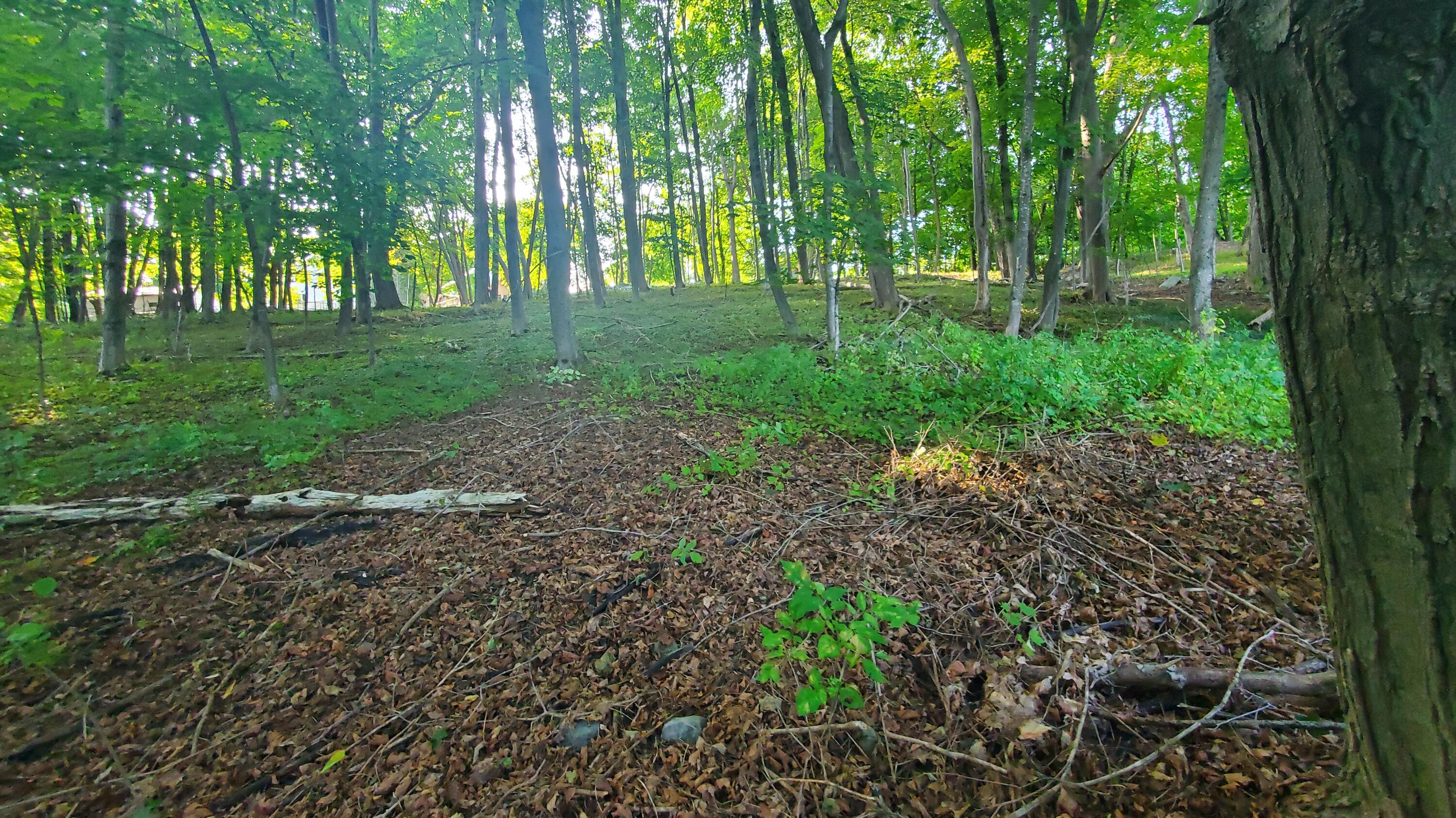 45 Main Street Dexter ME 04930