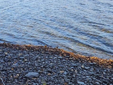 16 Bard Lane Eagle Lake ME 04739