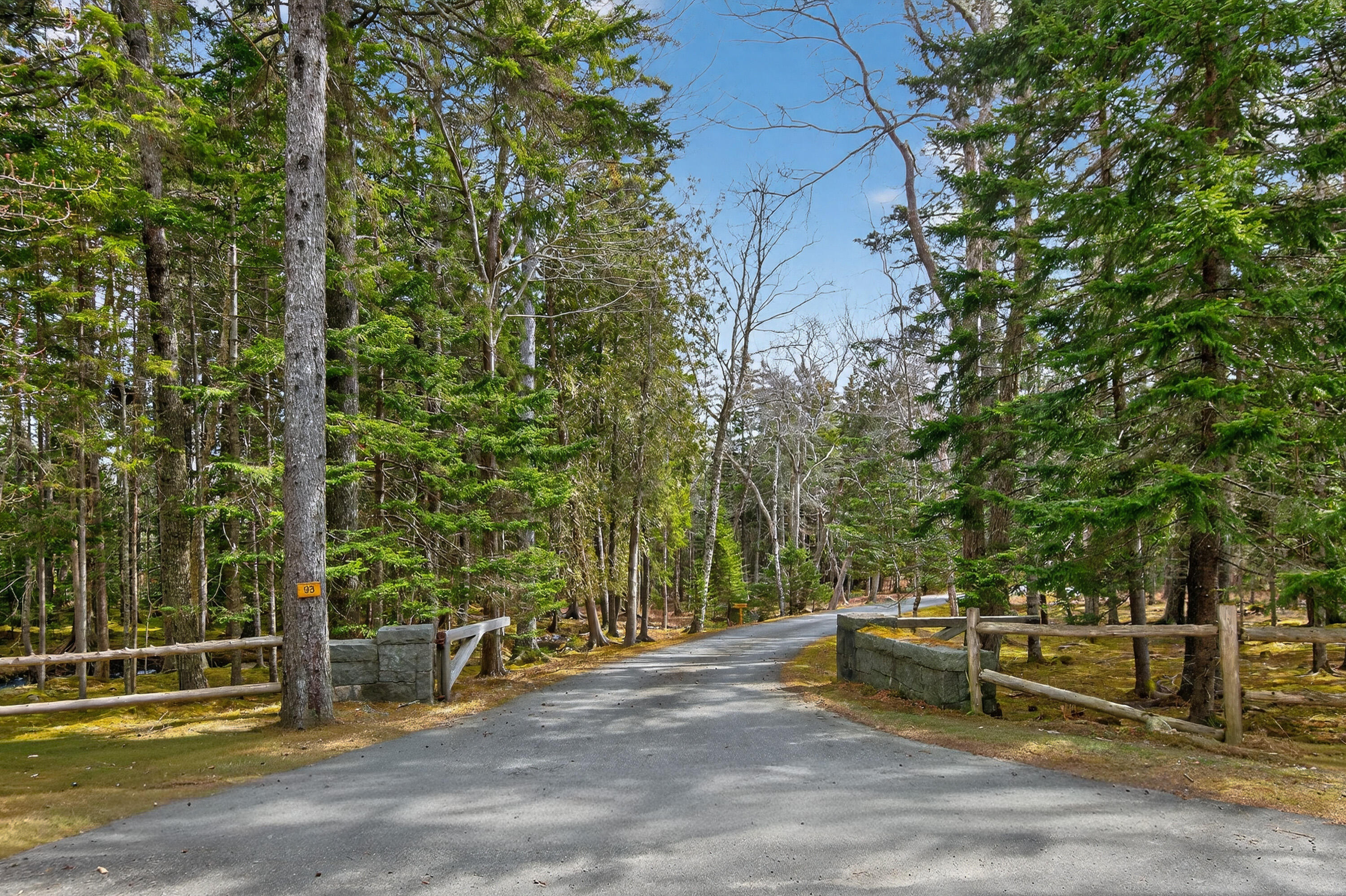 93 Cooksey Drive Mount Desert ME 04660