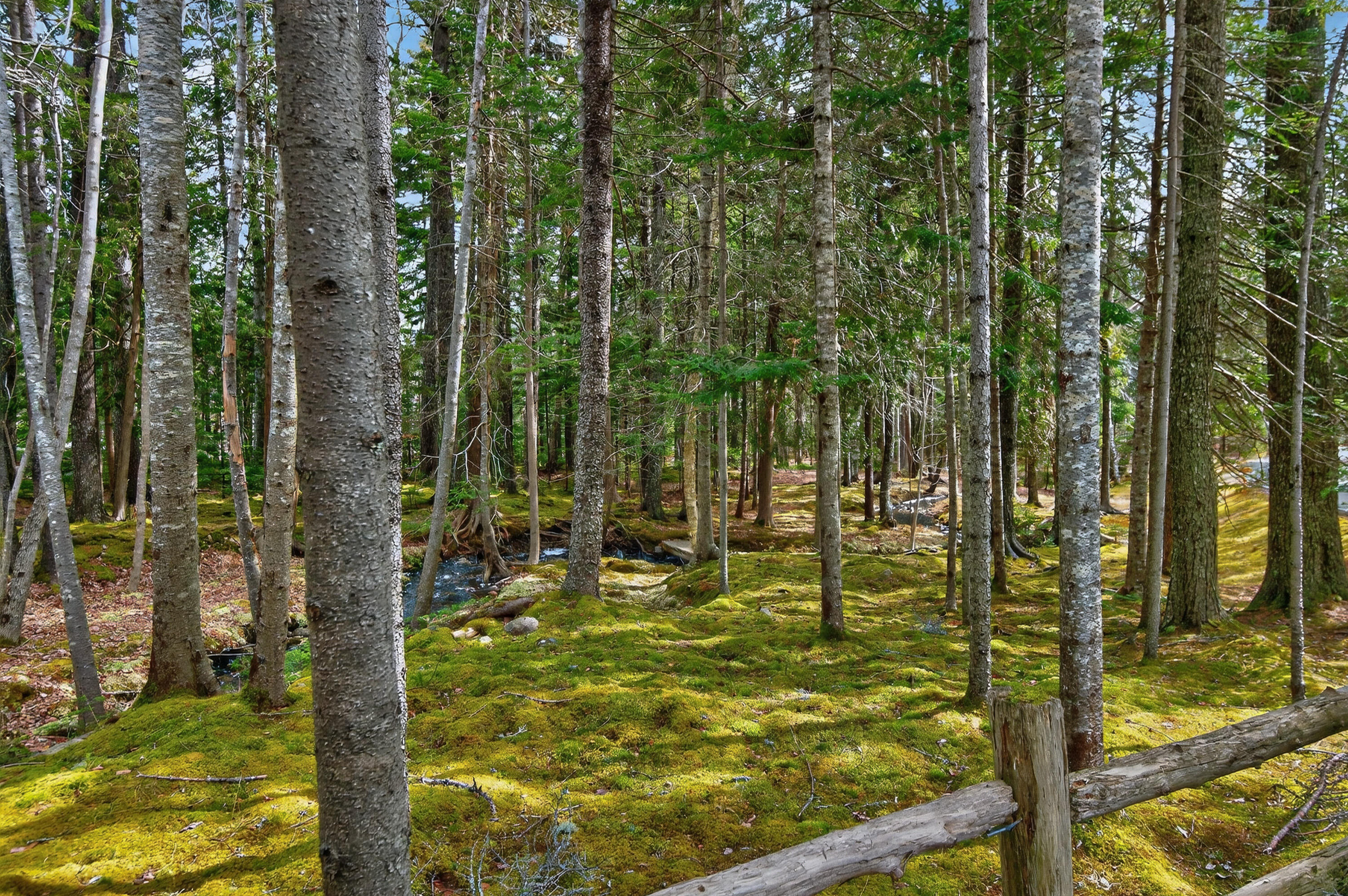 93 Cooksey Drive Mount Desert ME 04660