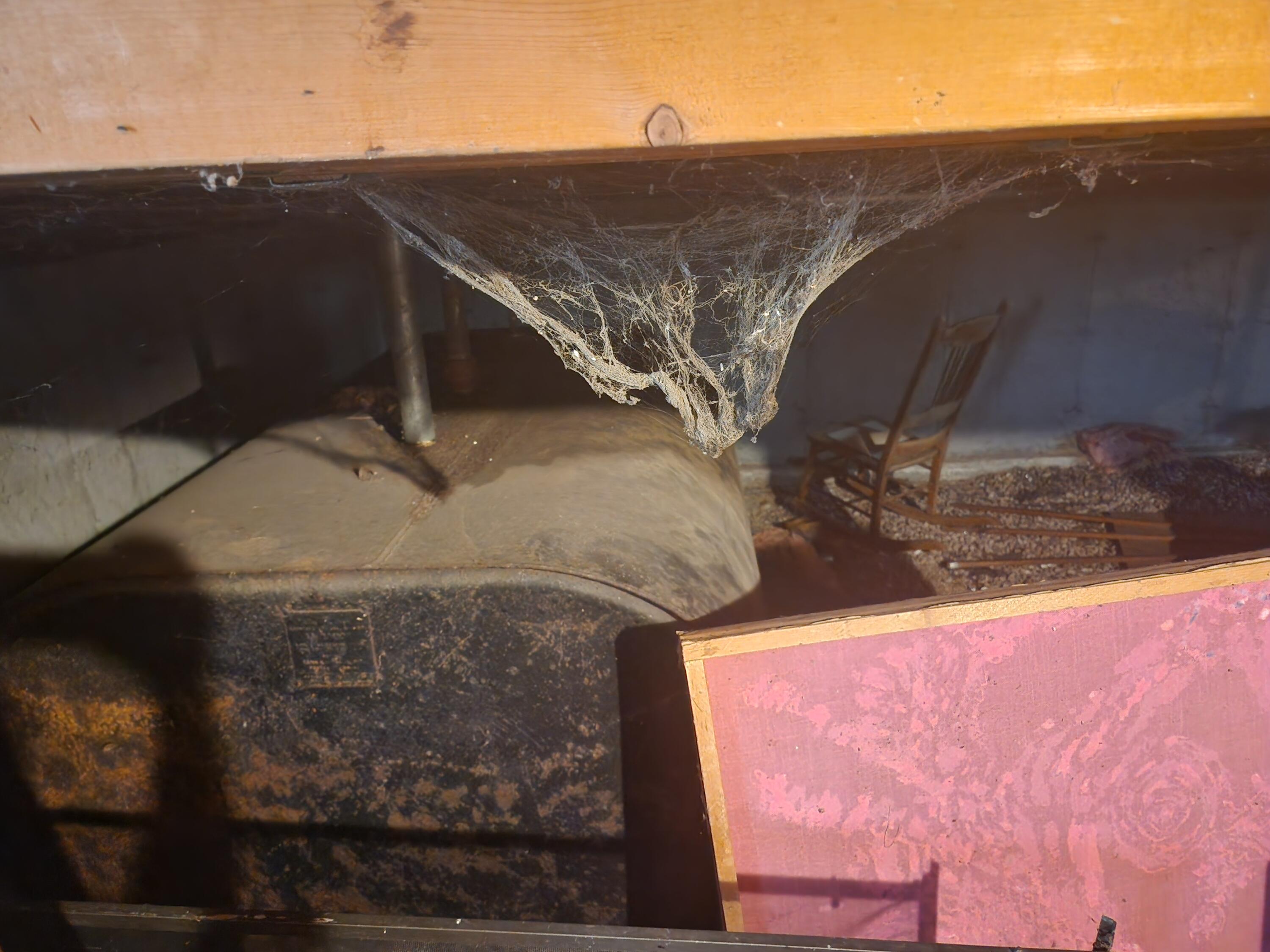 5 Shiloh Place Baldwin ME 04024