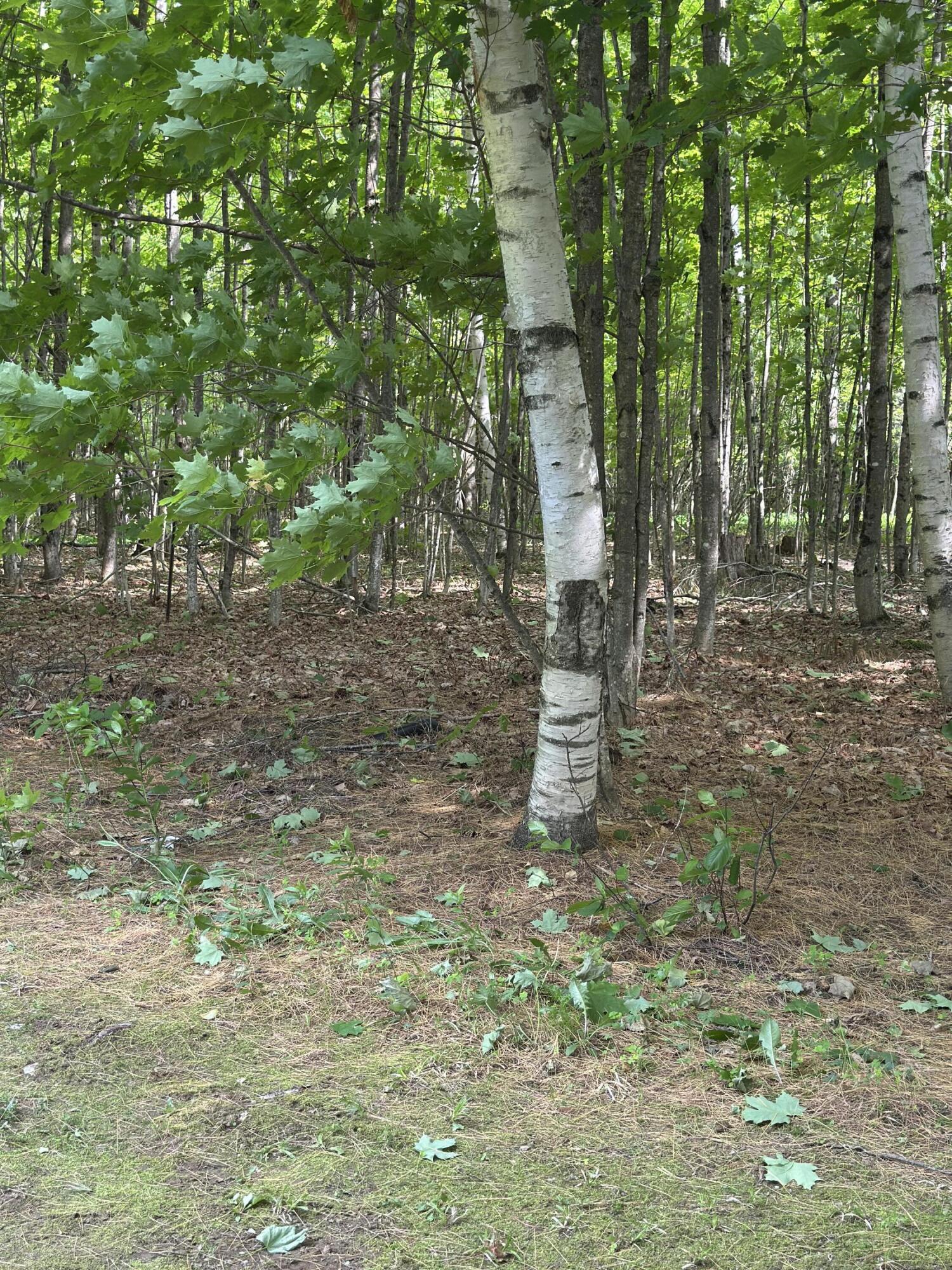 242 Newport Road Corinna ME 04928