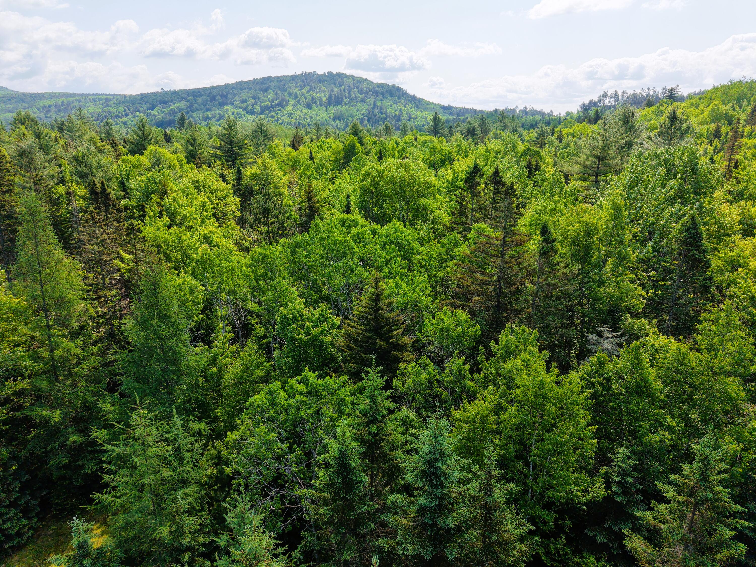 785 Carrying Place Road Carrying Place Town Twp ME 04961