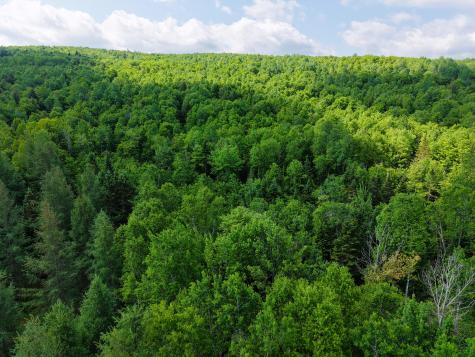 785 Carrying Place Road Carrying Place Town Twp ME 04961