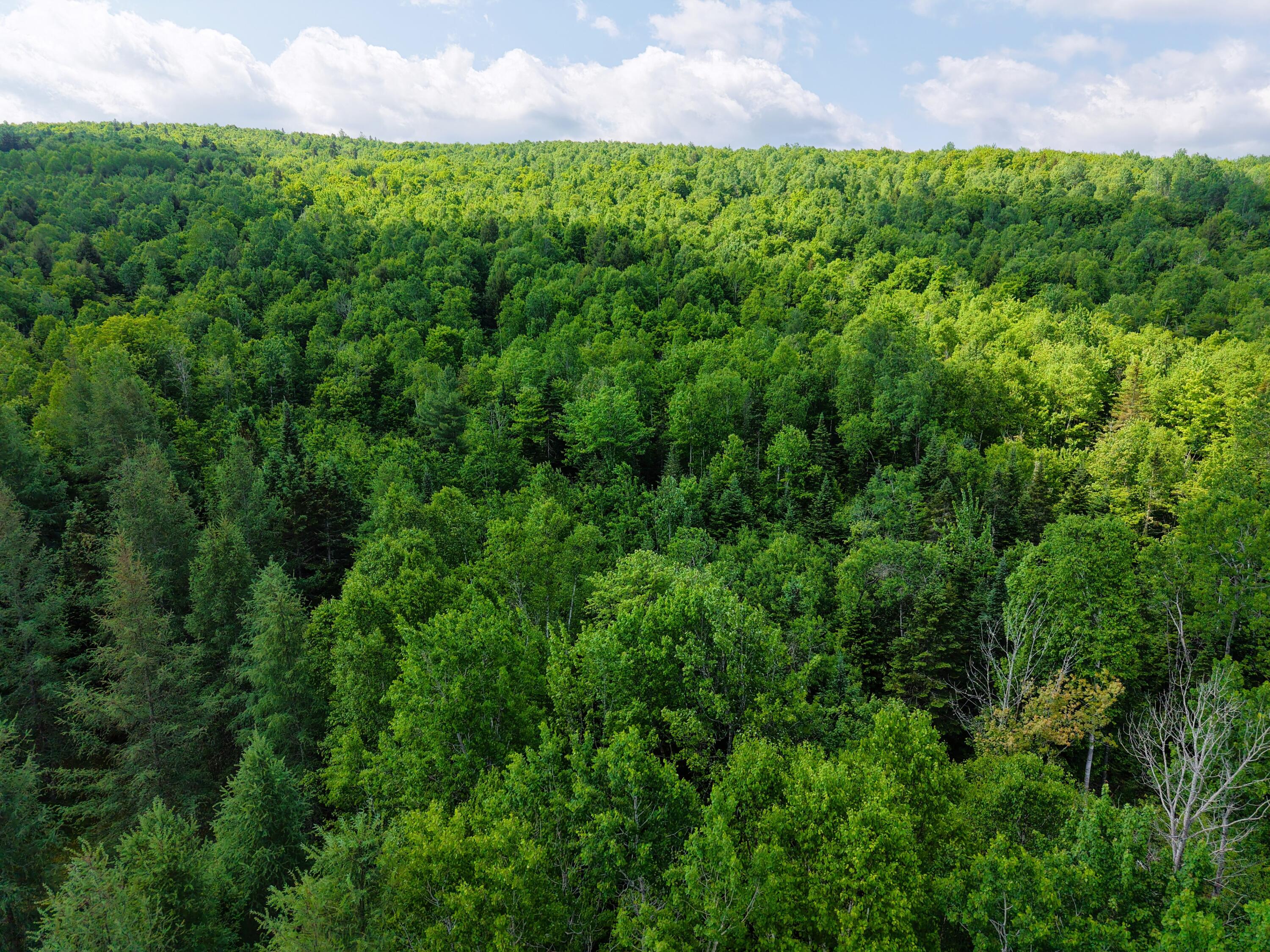 785 Carrying Place Road Carrying Place Town Twp ME 04961