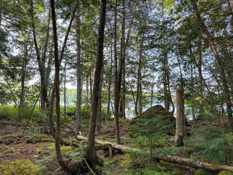 277 Bill Green Pond Road T3 R1 Nbpp ME 04455