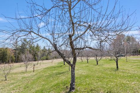 353 Bell Hill Road Otisfield ME 04270