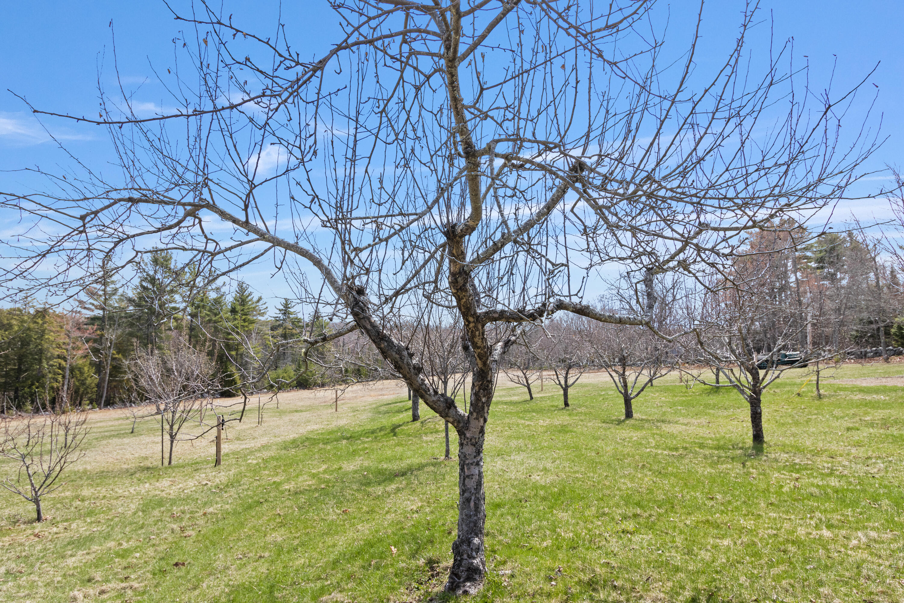 353 Bell Hill Road Otisfield ME 04270