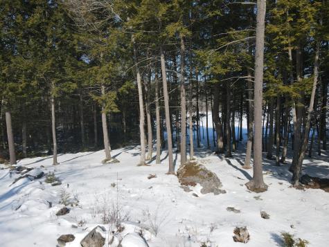 8 Martins Lane Glenburn ME 04401