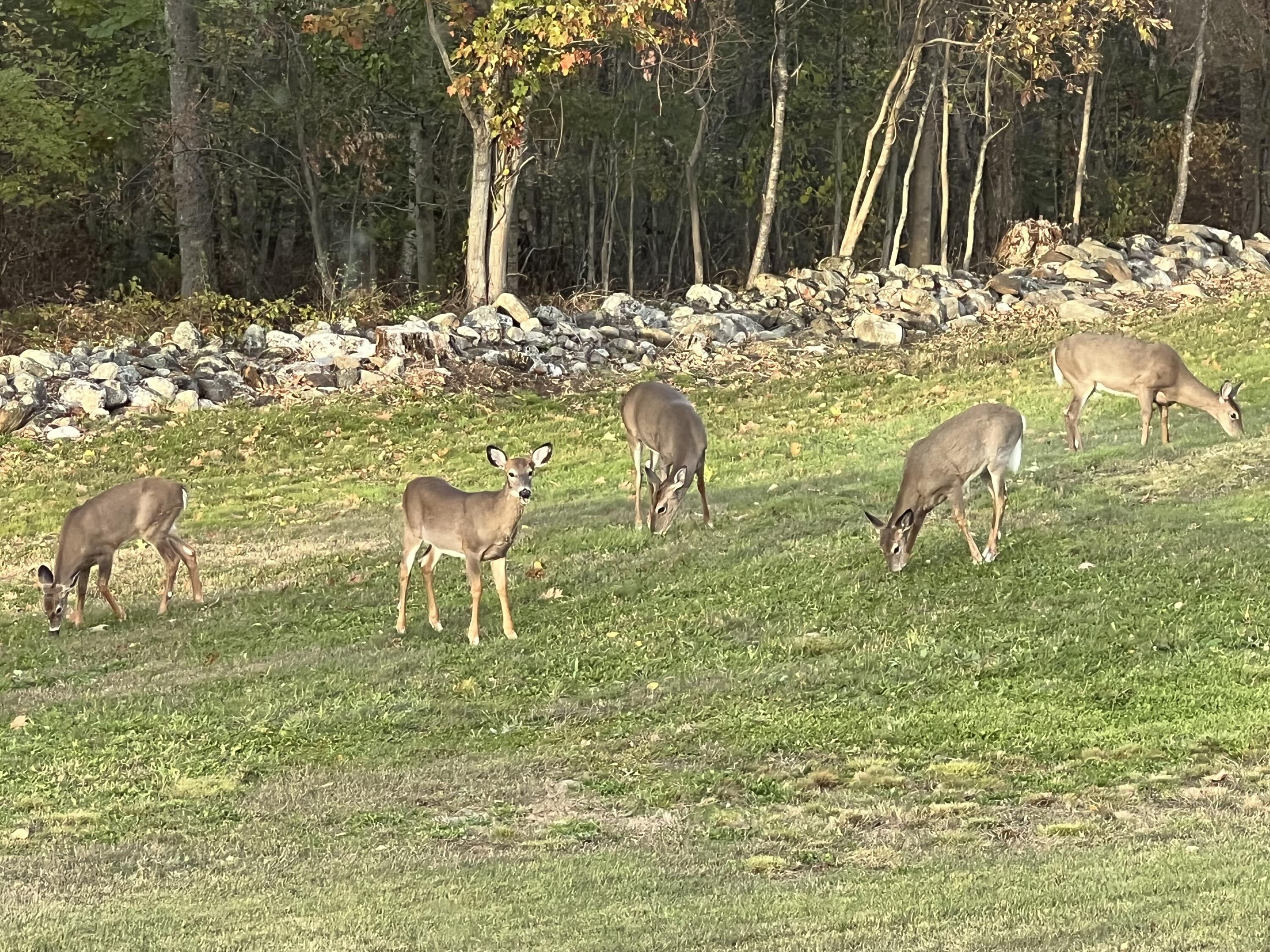 507 Mount Pleasant Street Rockport ME 04856