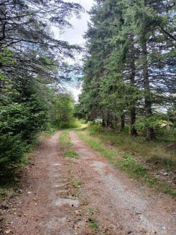 23 Addison Road Columbia ME 04623