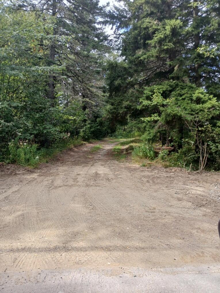 23 Addison Road Columbia ME 04623