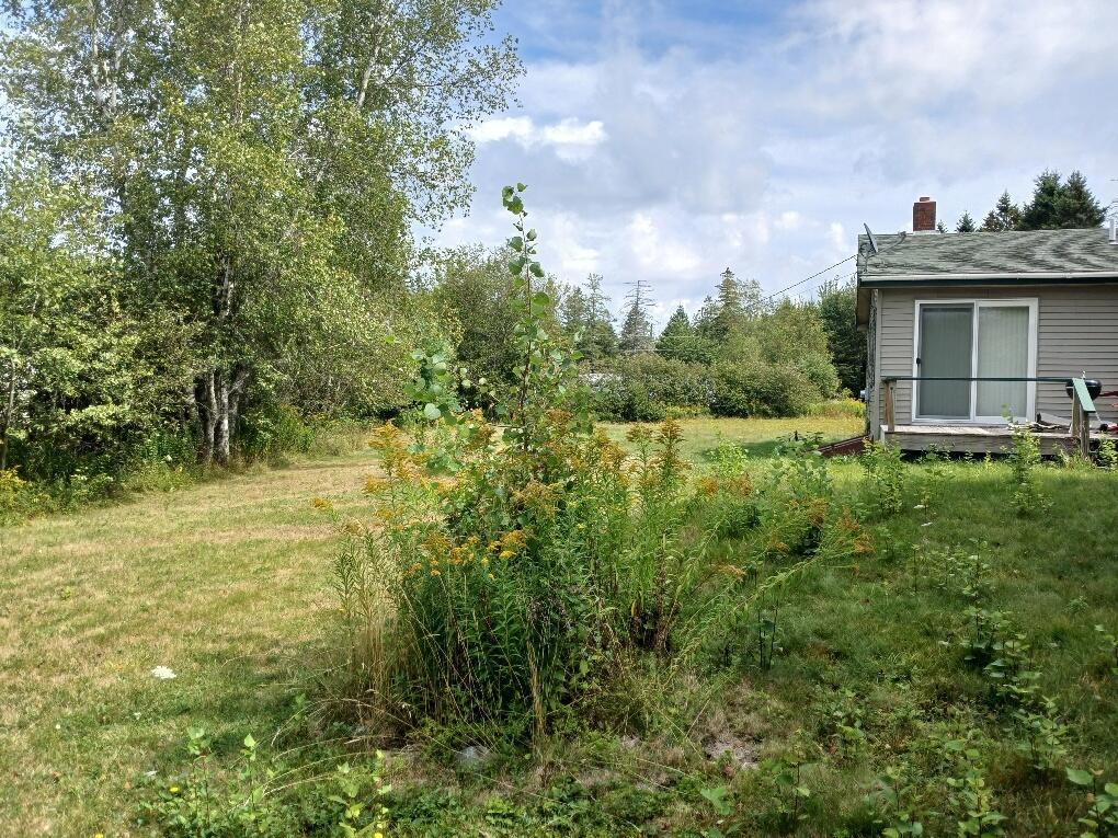 23 Addison Road Columbia ME 04623