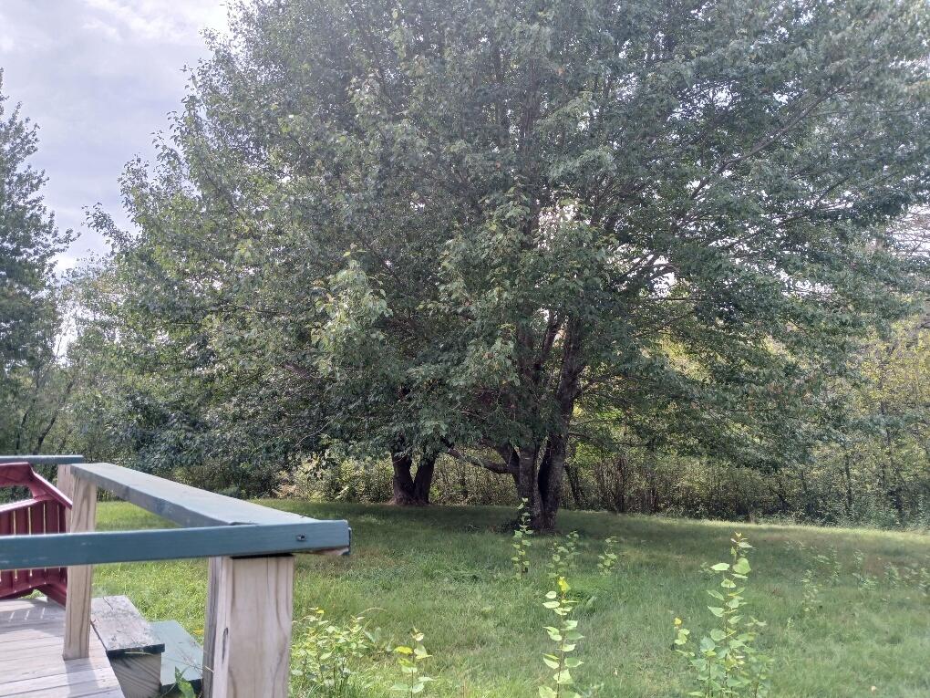 23 Addison Road Columbia ME 04623