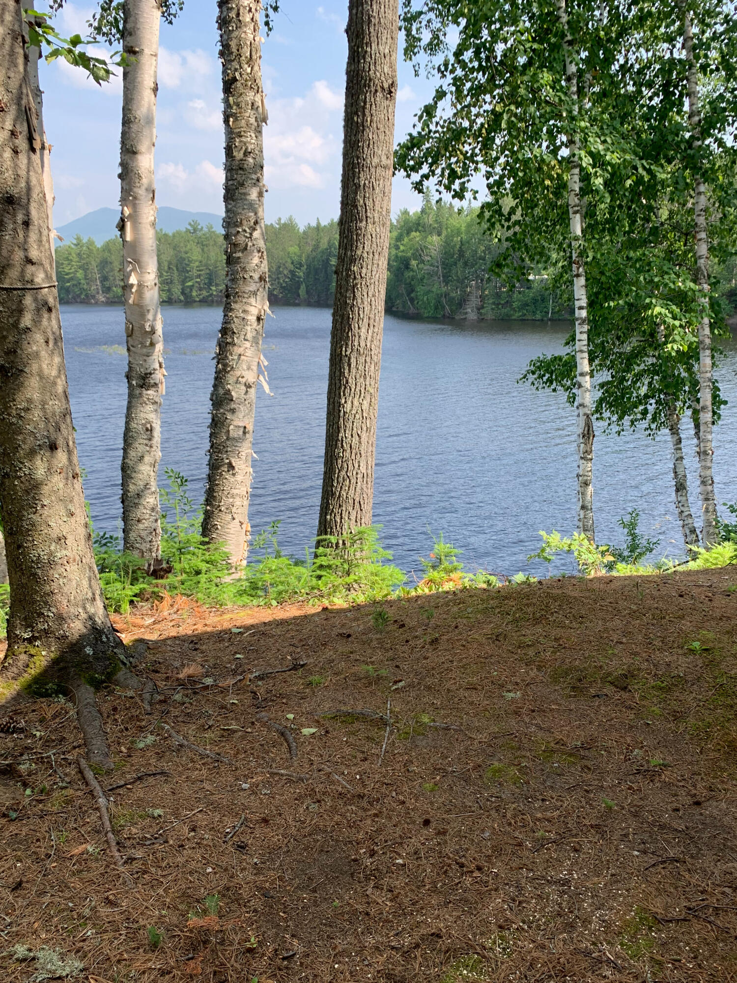 965 Arnold Trail Eustis ME 04936