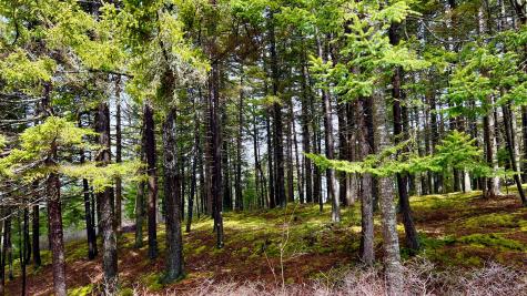 177 Richtown Road Tremont ME 04612