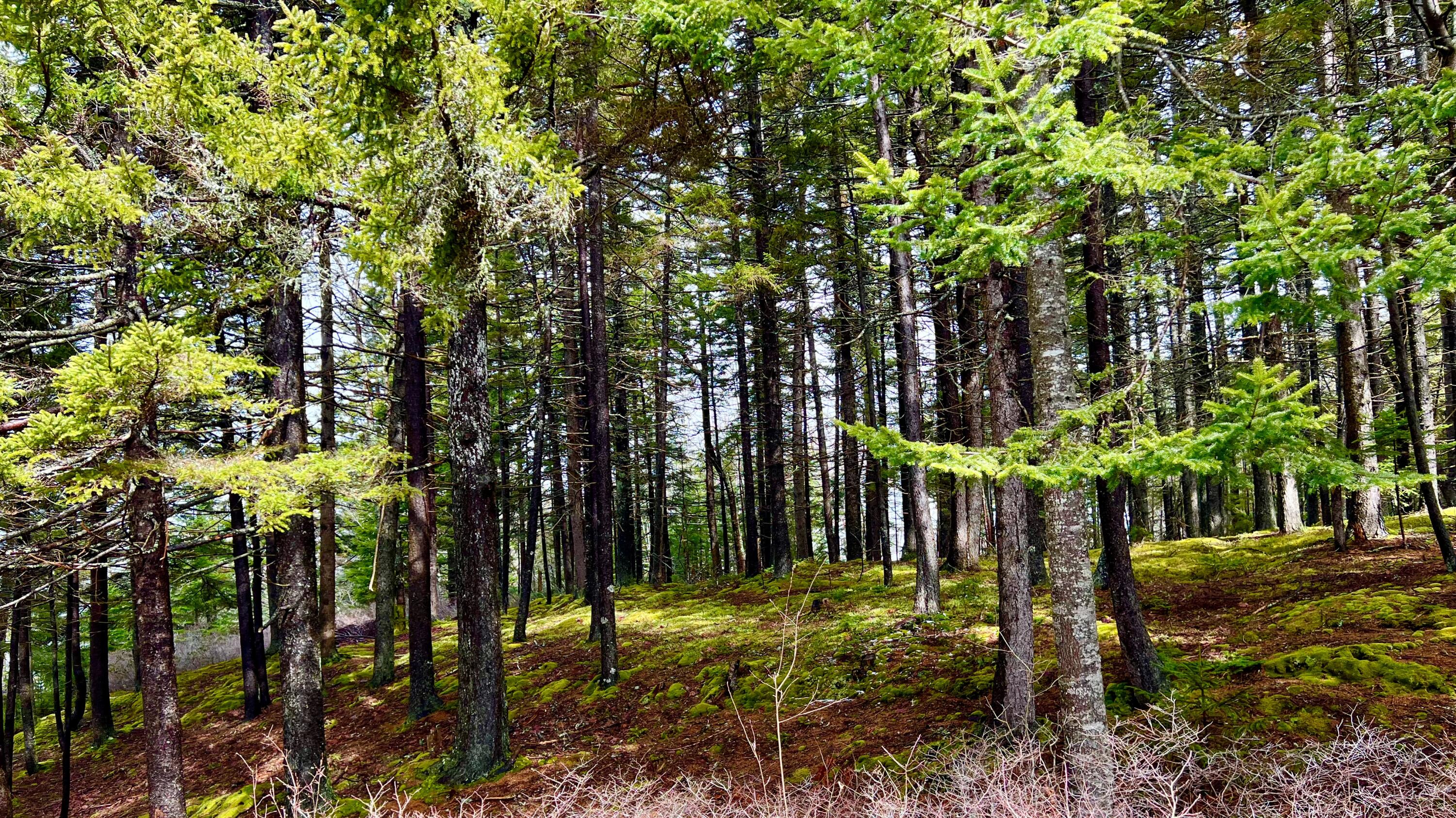 177 Richtown Road Tremont ME 04612