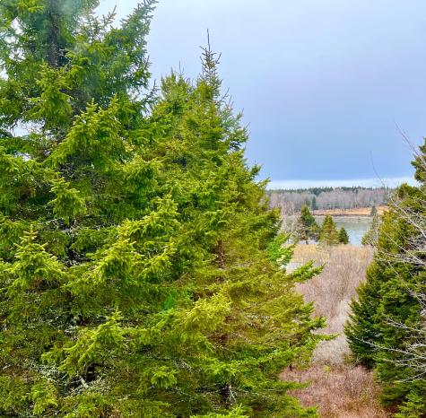 177 Richtown Road Tremont ME 04612