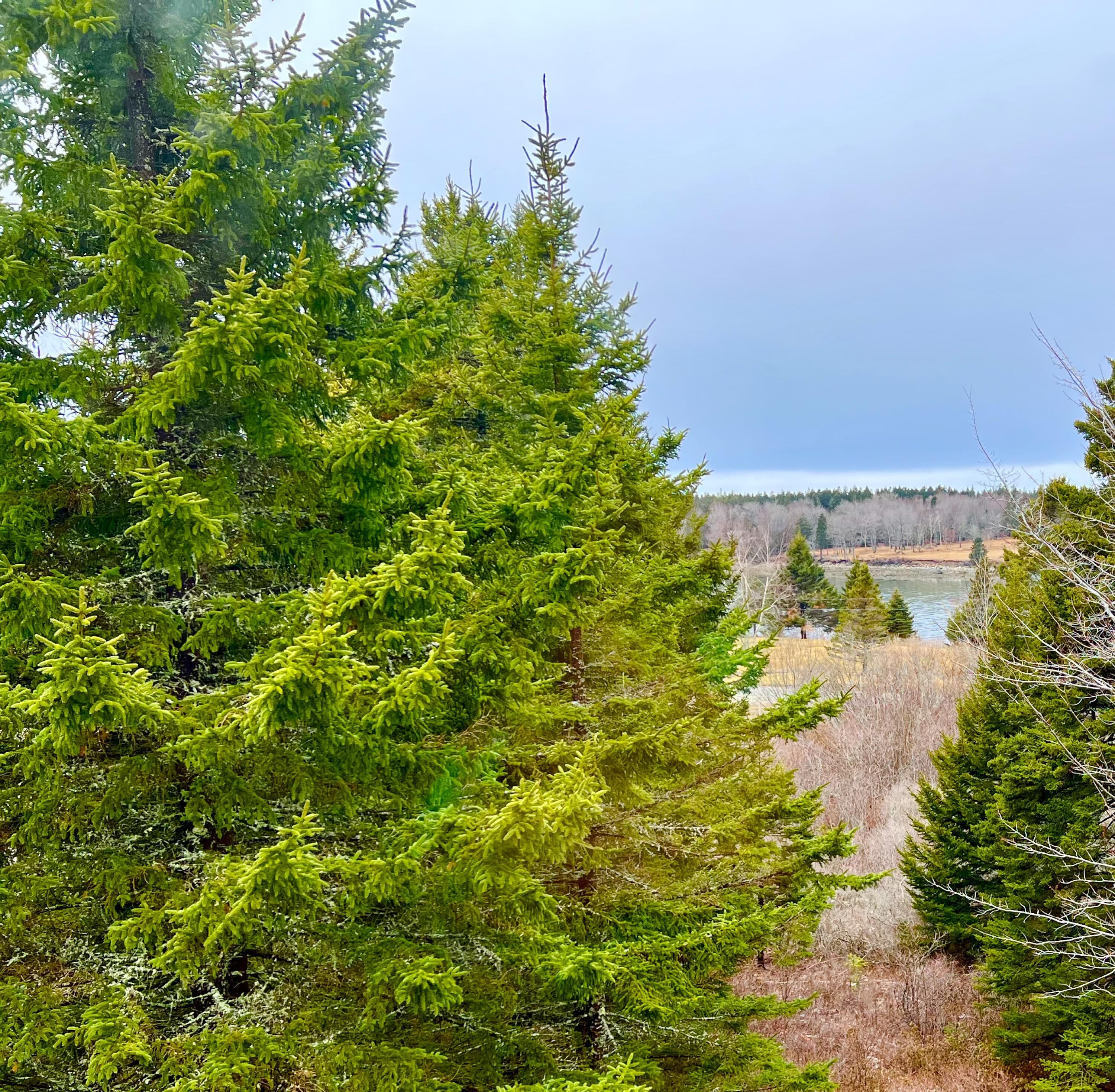 177 Richtown Road Tremont ME 04612