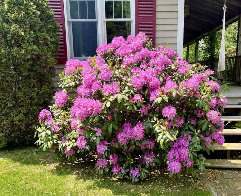 177 Richtown Road Tremont ME 04612