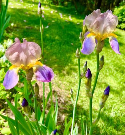 177 Richtown Road Tremont ME 04612