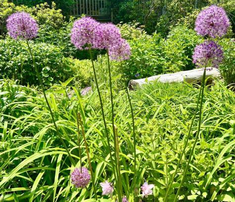 177 Richtown Road Tremont ME 04612