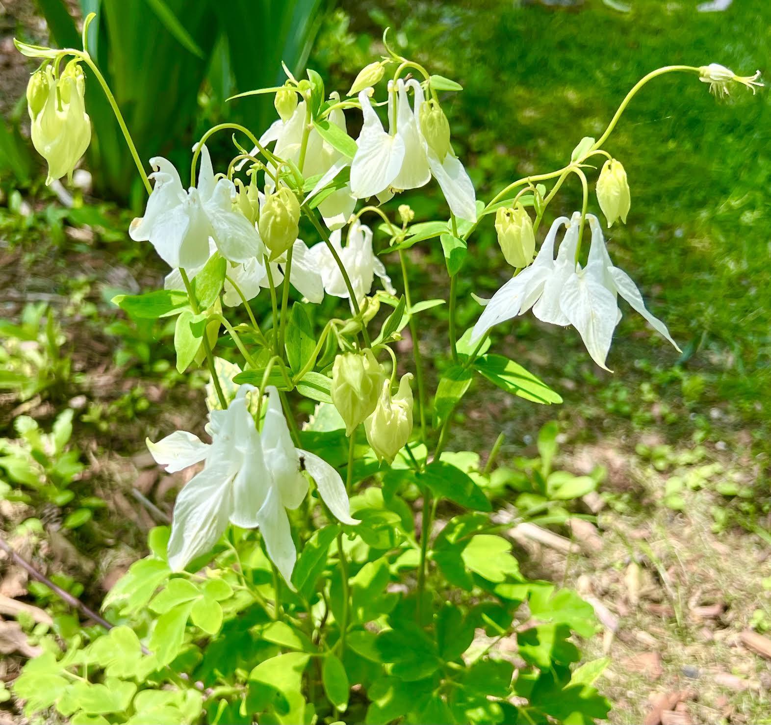 177 Richtown Road Tremont ME 04612