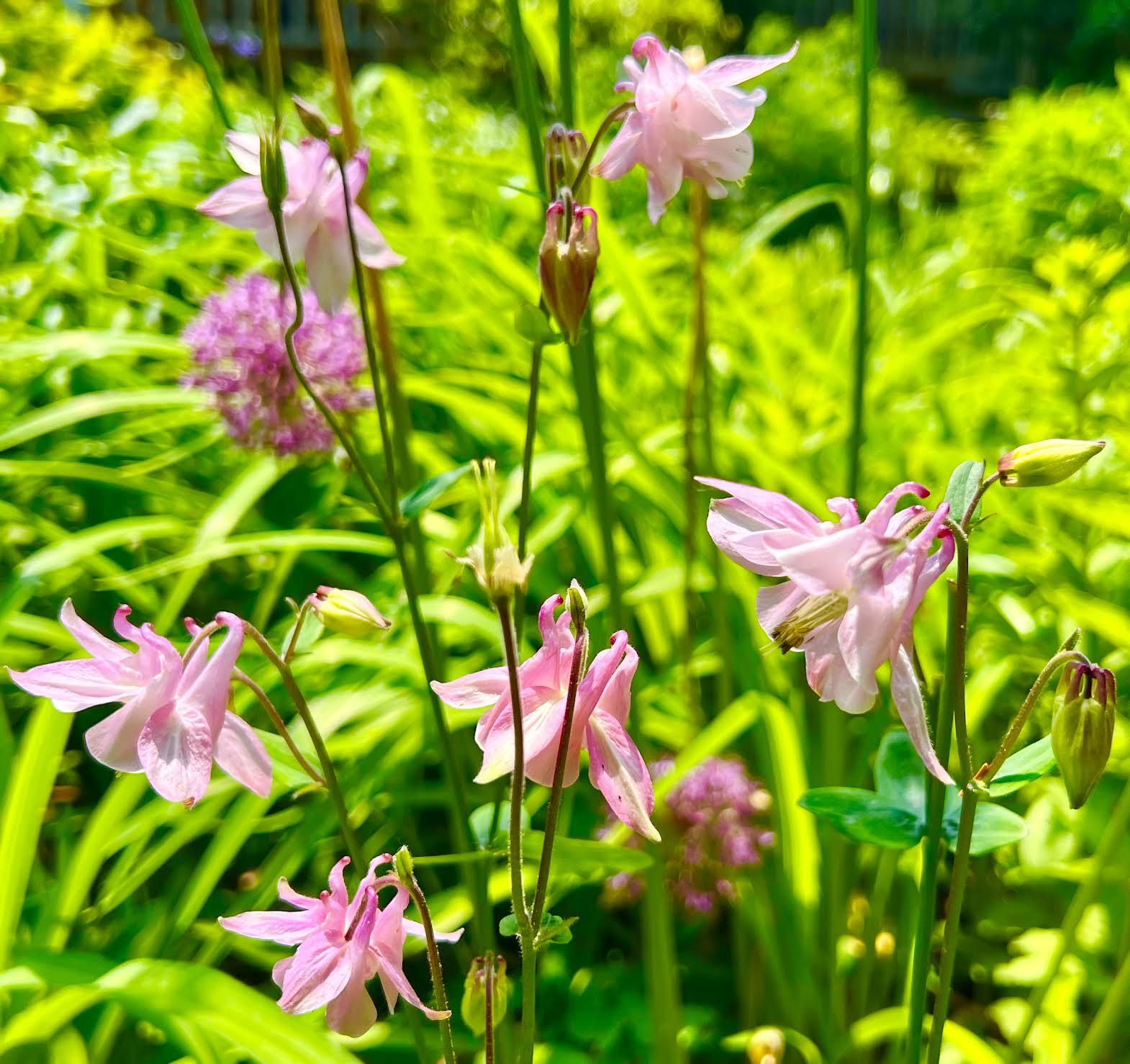 177 Richtown Road Tremont ME 04612