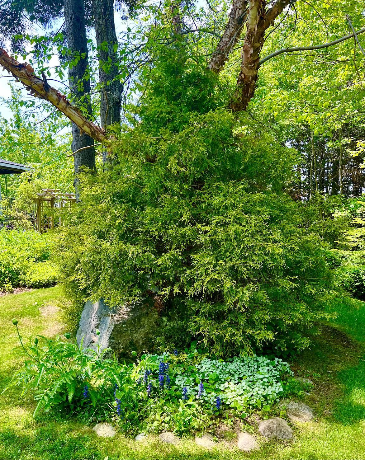 177 Richtown Road Tremont ME 04612