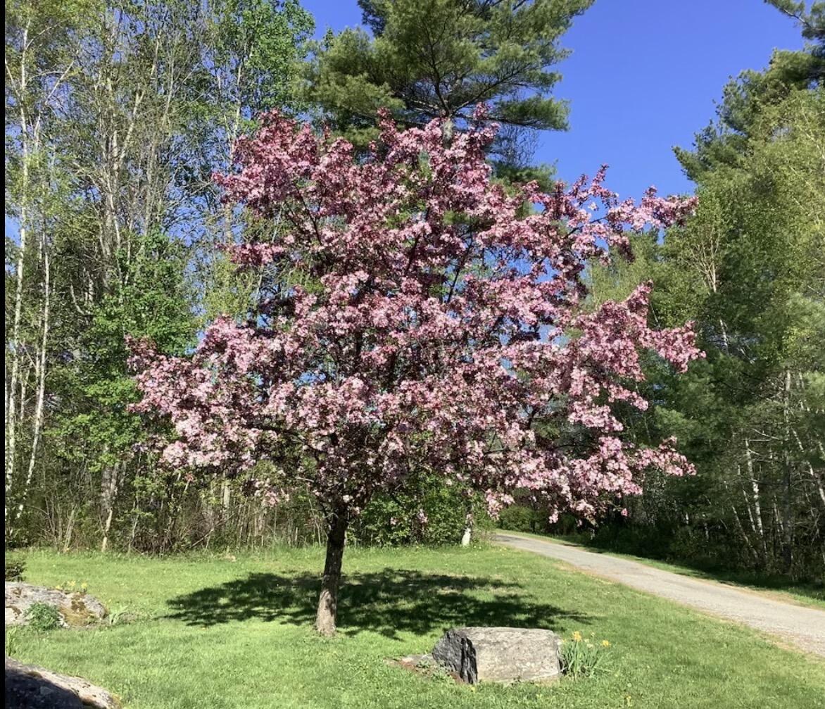15 Castaway Drive Orland ME 04472
