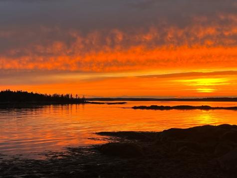 16 Hannah's Cove Beals ME 04611