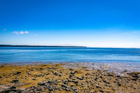 199 Paul Bunyan Road Gouldsboro ME 04607