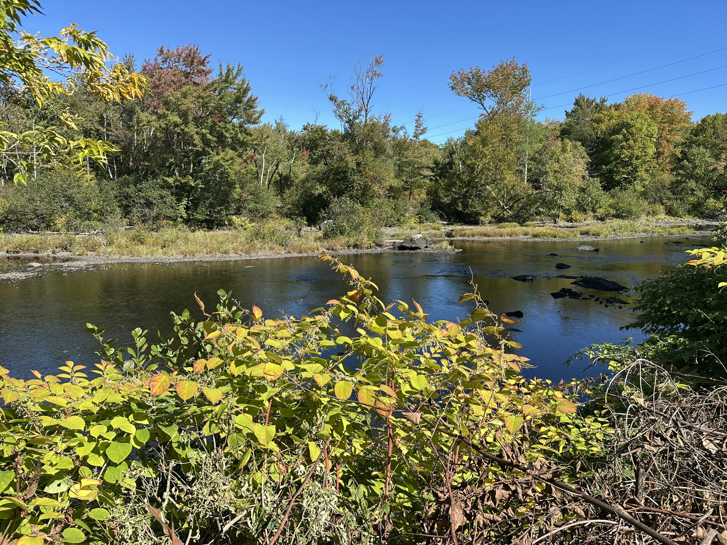 4 Sebec Court Milo ME 04463