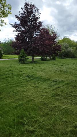 70 Charlotte Road Charlotte ME 04666