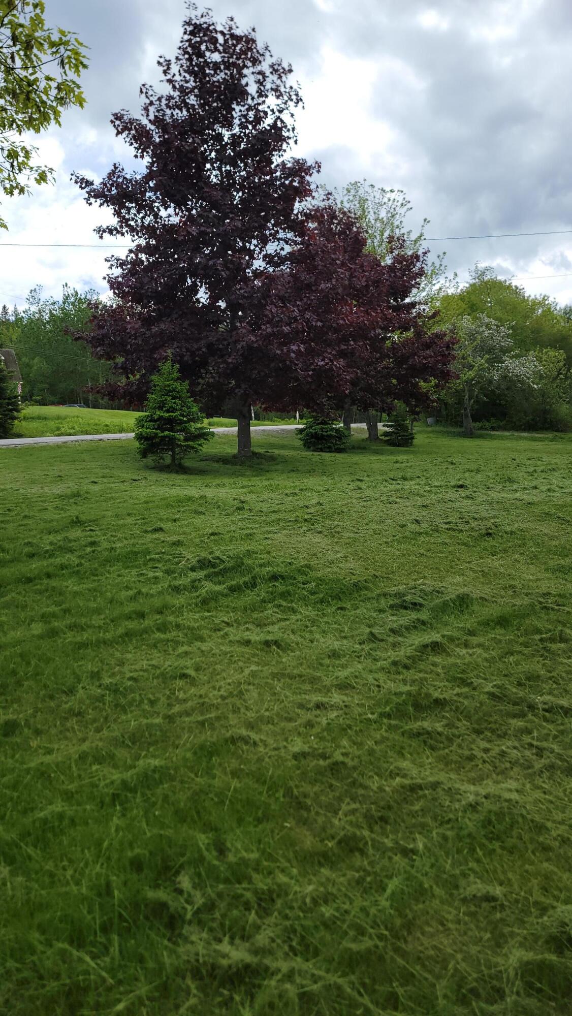 70 Charlotte Road Charlotte ME 04666