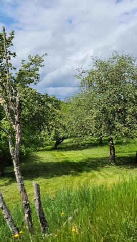 70 Charlotte Road Charlotte ME 04666