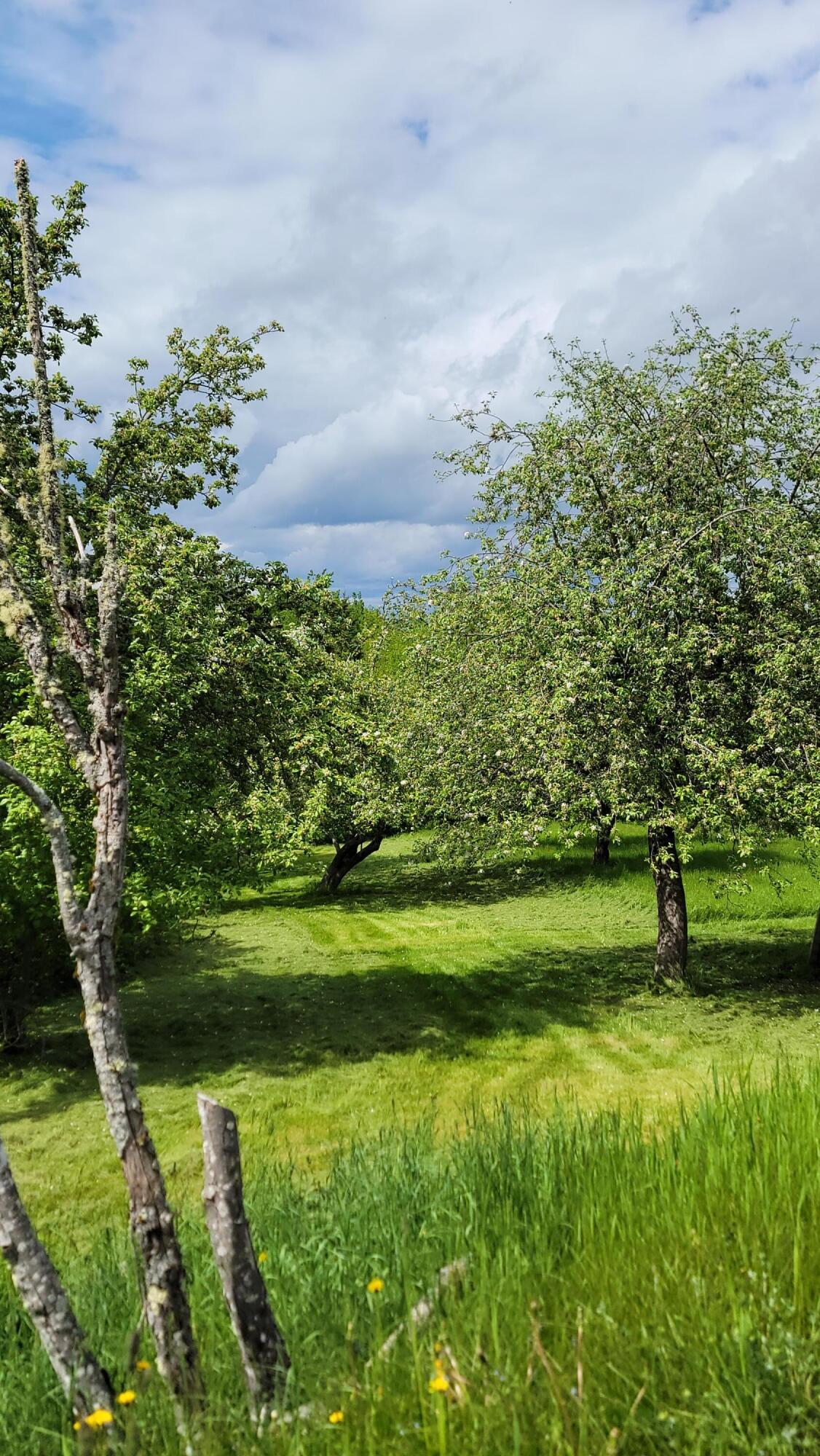 70 Charlotte Road Charlotte ME 04666