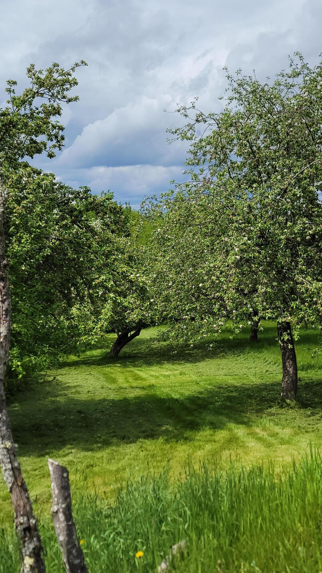 70 Charlotte Road Charlotte ME 04666