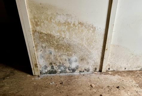 38 Indian Point Road Bar Harbor ME 04609