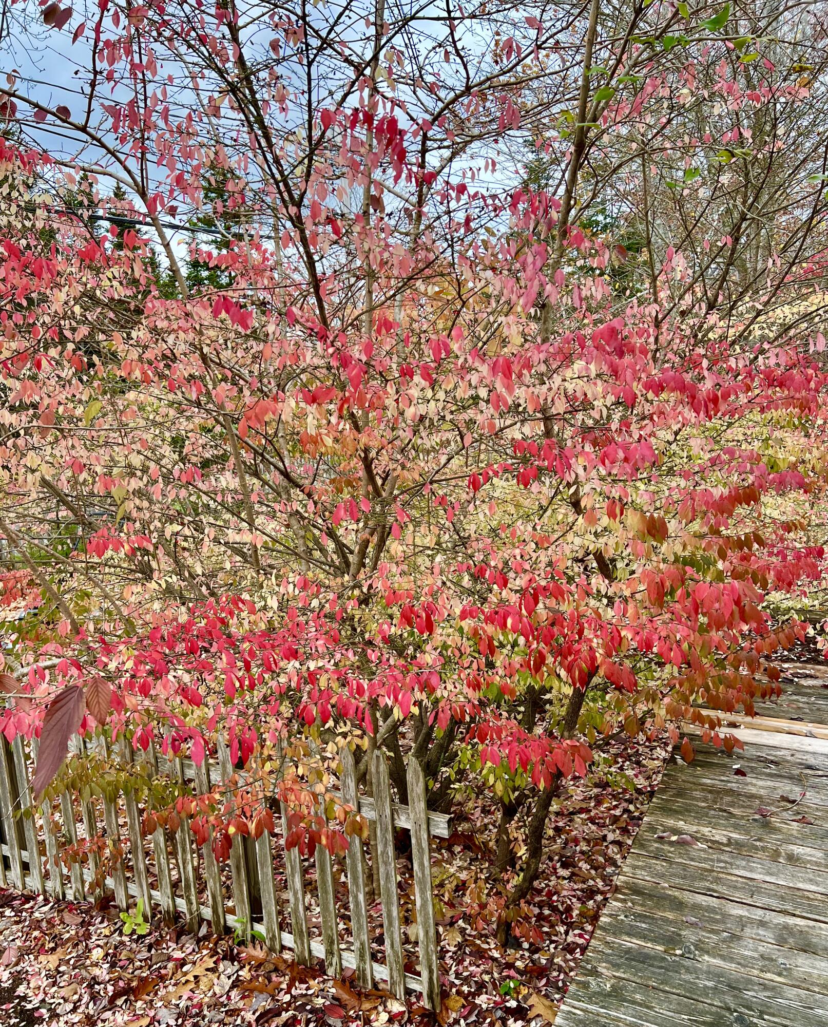 38 Indian Point Road Bar Harbor ME 04609