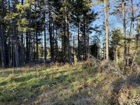 327 Elm Street Machias ME 04654