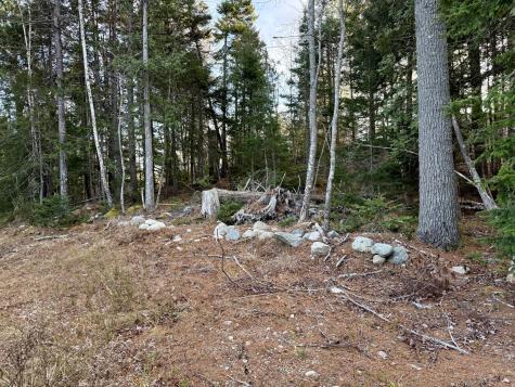 327 Elm Street Machias ME 04654