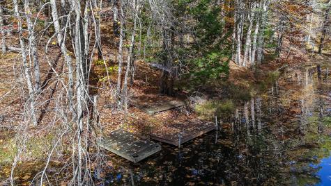 60 Sequoia Lane Waterboro ME 04061